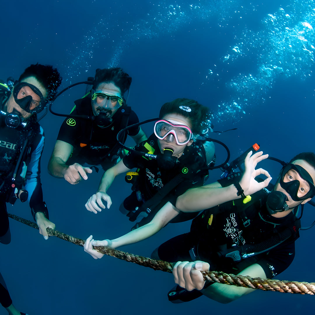 Phuket Shark Point Scuba Diving Day Trip