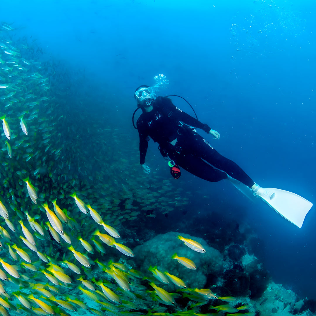 Phuket Shark Point Scuba Diving Day Trip