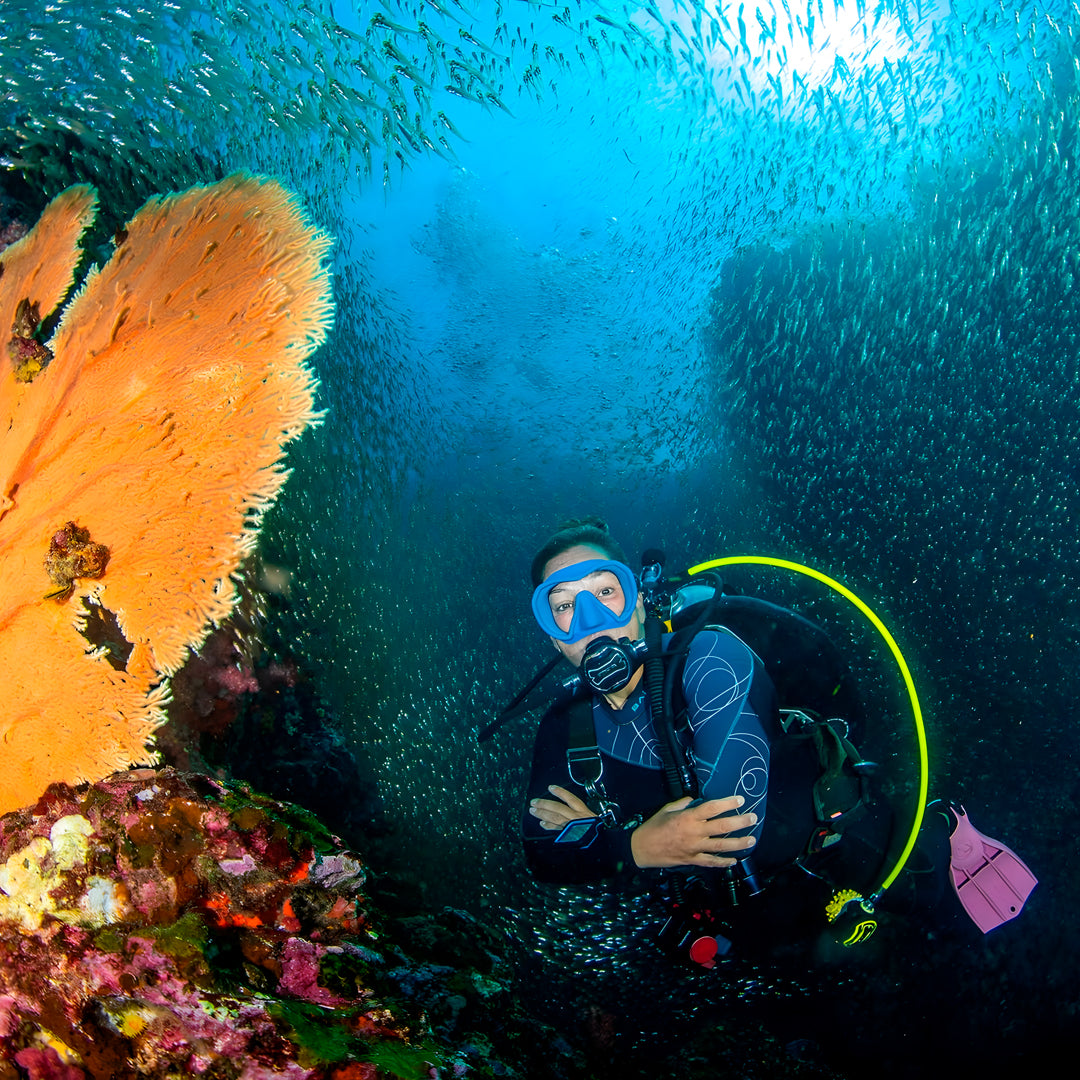 Racha Yai Scuba Diving Day Trip