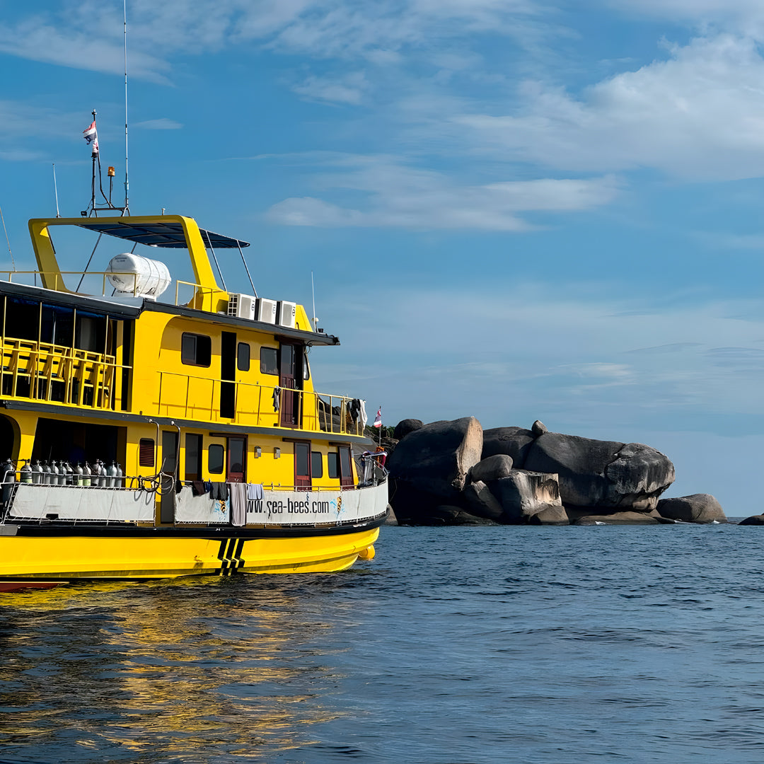 Phi Phi Island 3-Day Scuba Diving Trip