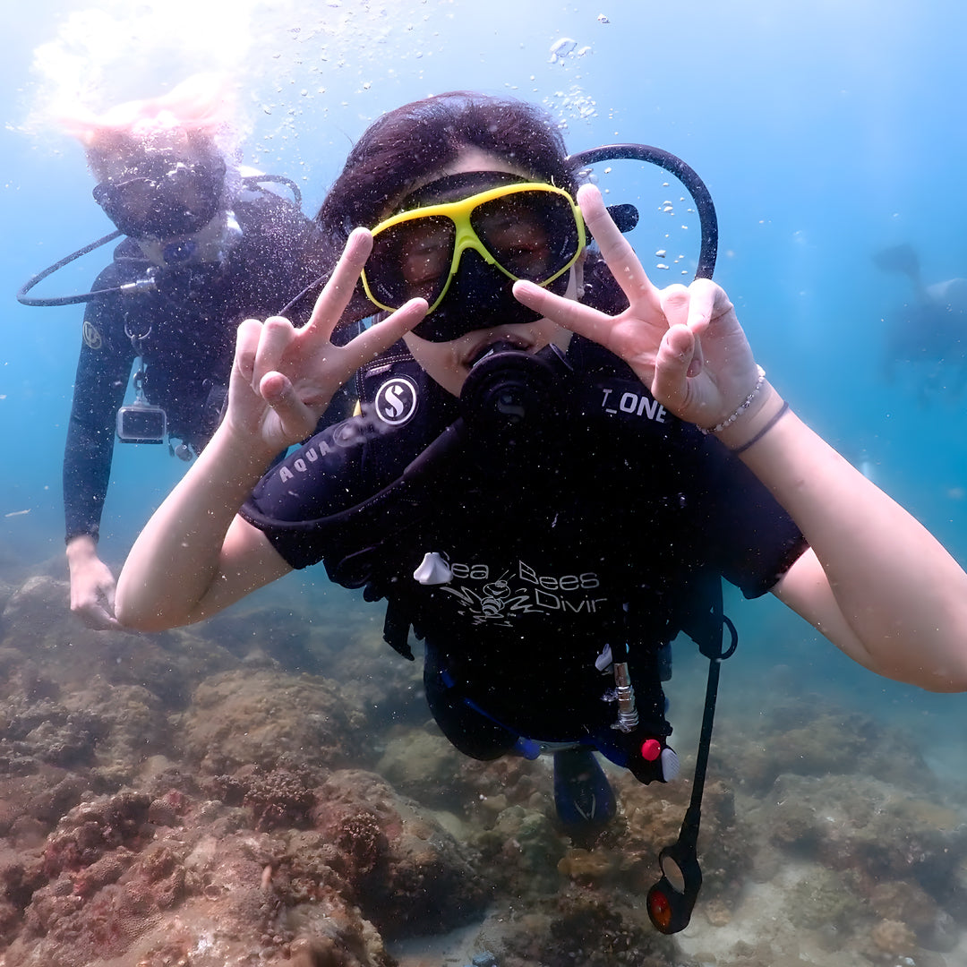 Phuket Shark Point Scuba Diving Day Trip