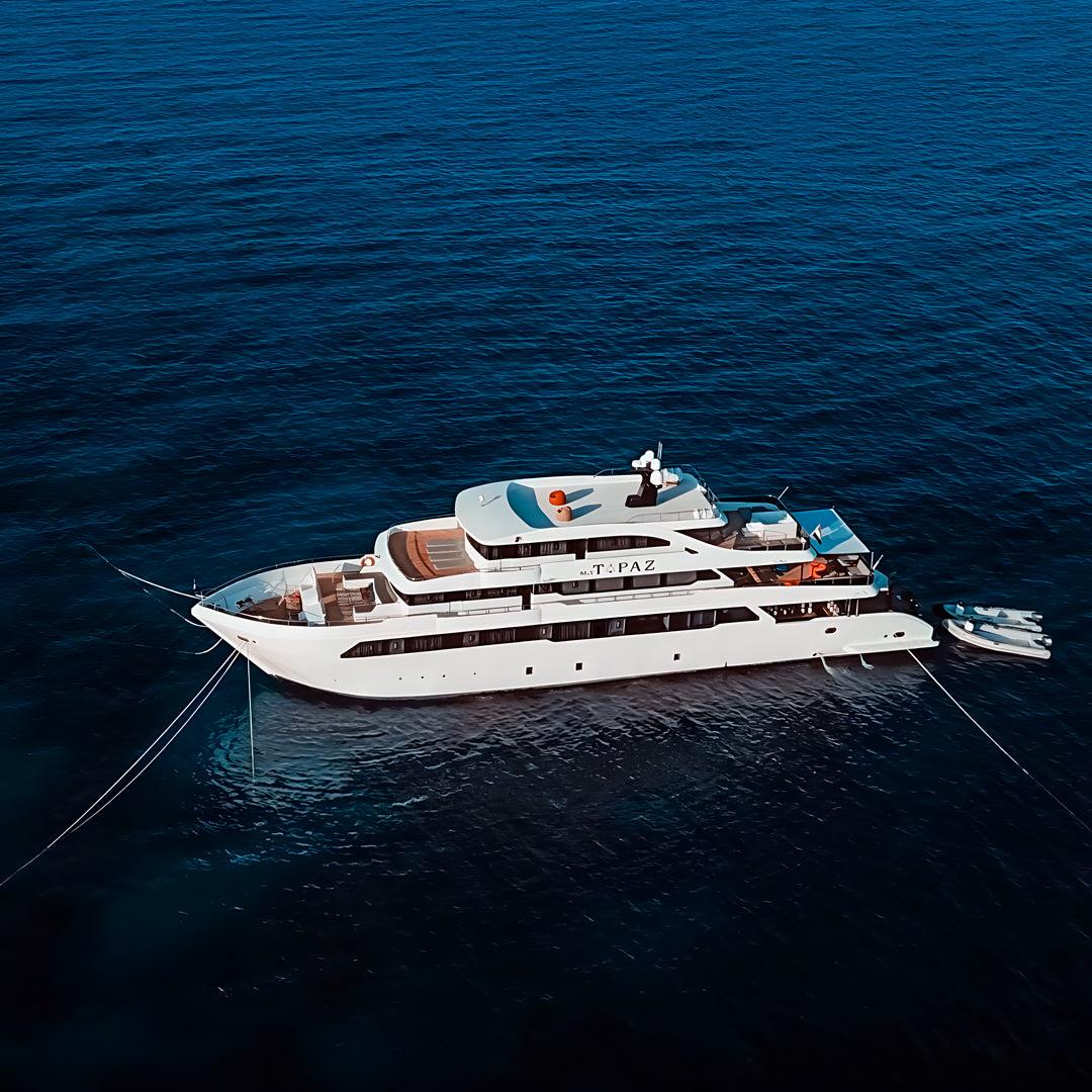 Daedalus Reef Red Sea Scuba Diving Liveaboard Sea Pirates Diving Safari