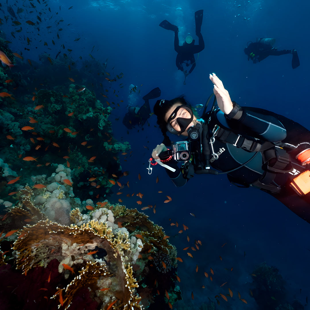 North Wrecks and Tiran Liveaboard Sea Pirates Diving Safari