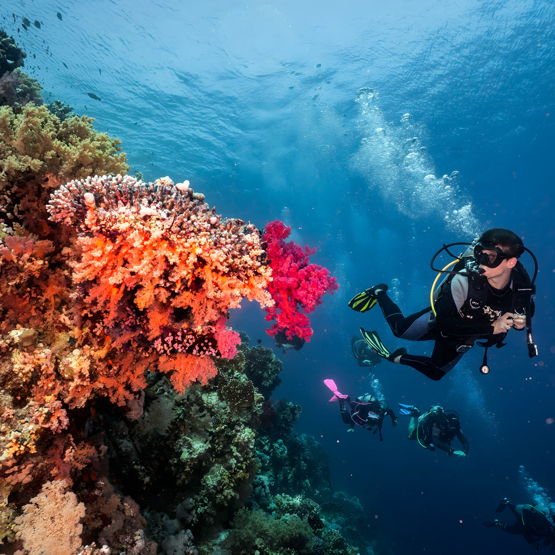 North Wrecks and Tiran Liveaboard Sea Pirates Diving Safari