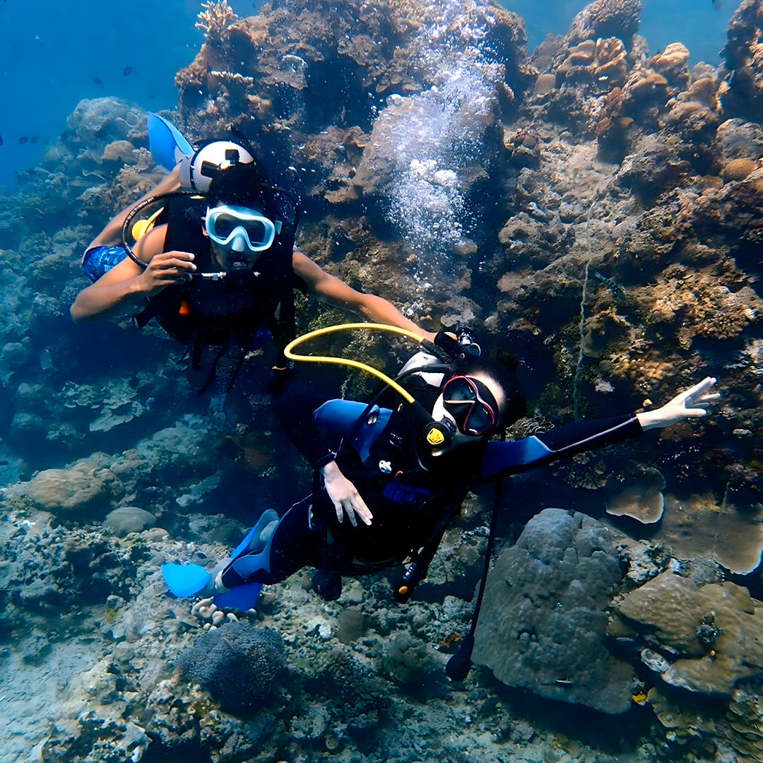 North Wrecks and Tiran Liveaboard Sea Pirates Diving Safari