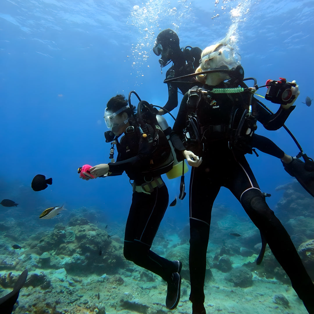 Daedalus Reef Red Sea Scuba Diving Liveaboard Sea Pirates Diving Safari