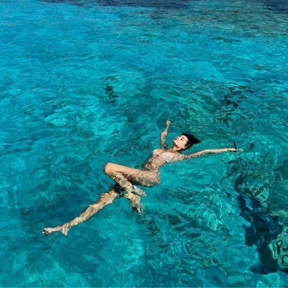 Dolphin Diving and Yoga Liveaboard