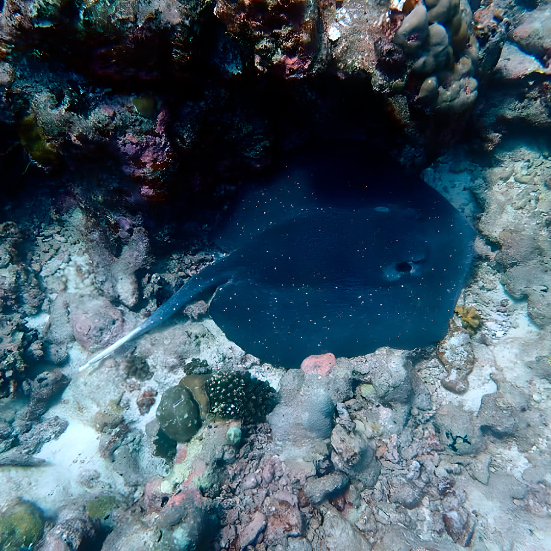 Discover Scuba Diving in Maldives