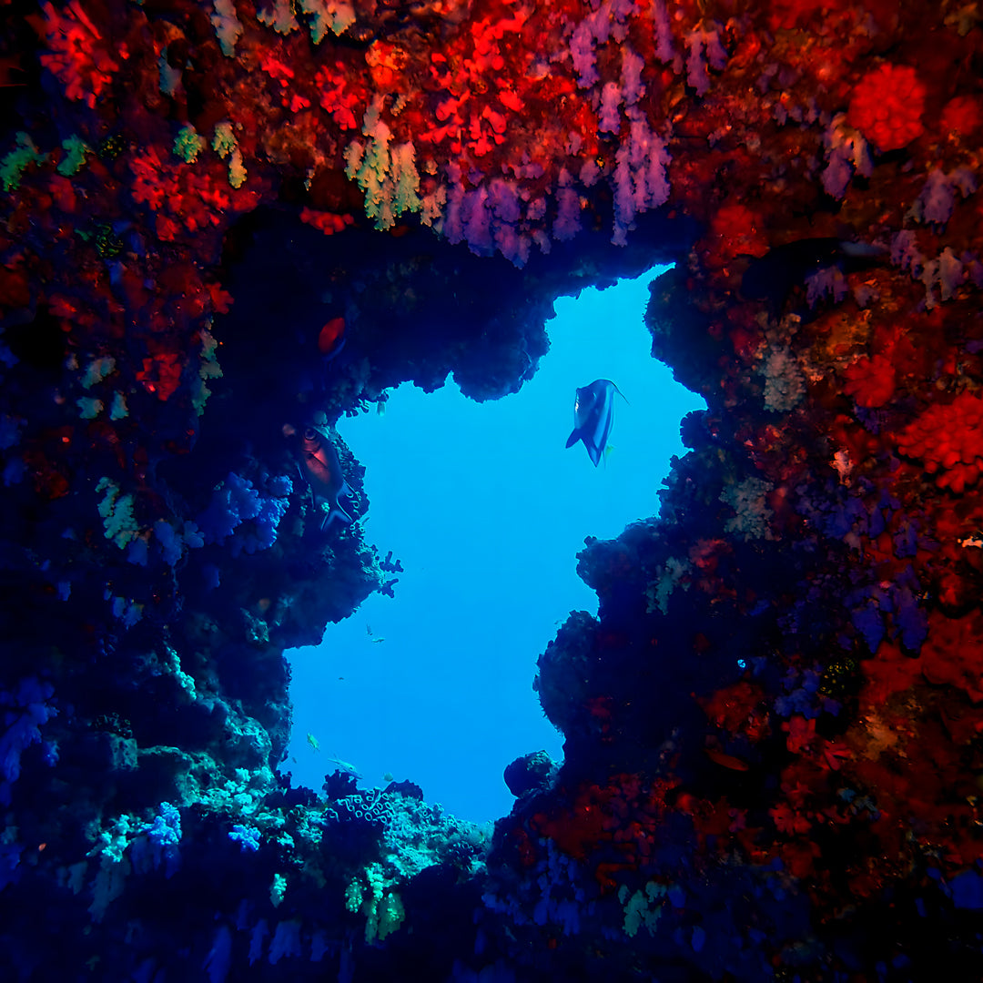 Discover Scuba Diving in Maldives