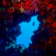 Discover Scuba Diving in Maldives