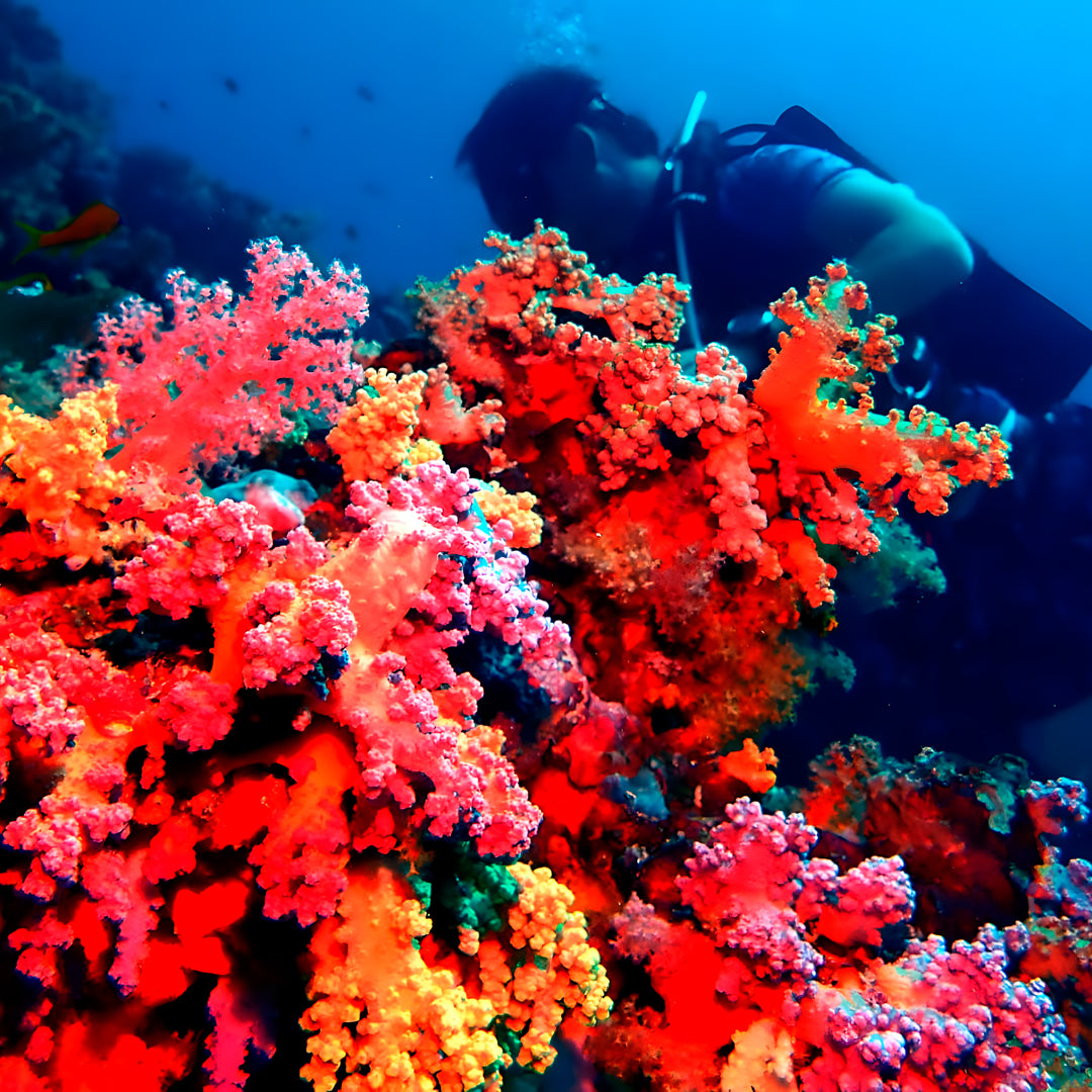 Discover Scuba Diving in Maldives