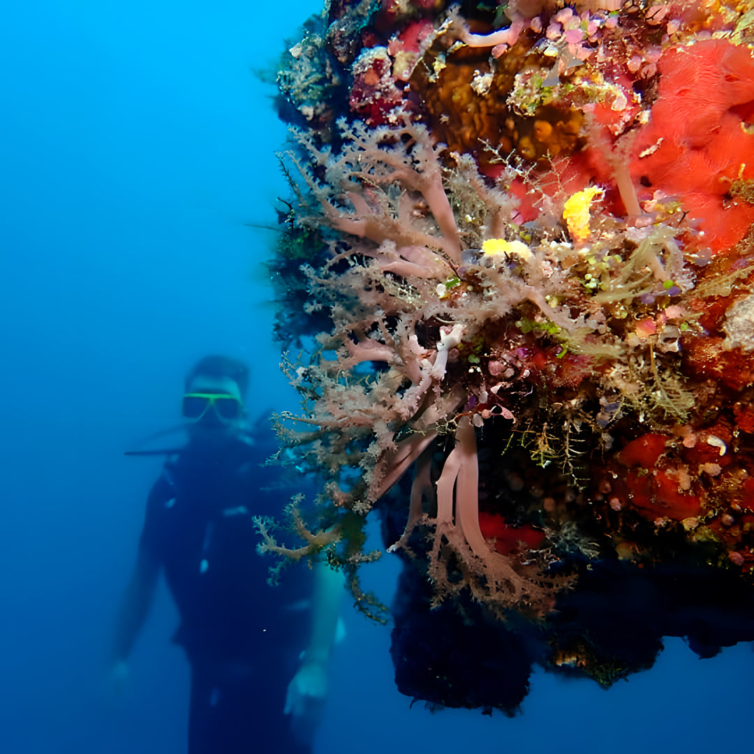 Advanced Open Water Diver in Maldives