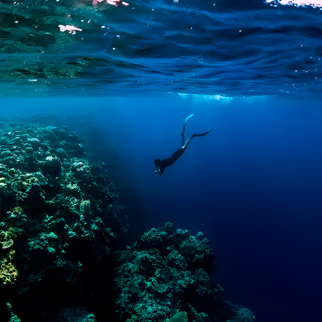 Thulusdhoo Maldives Scuba Diving Fun Dive