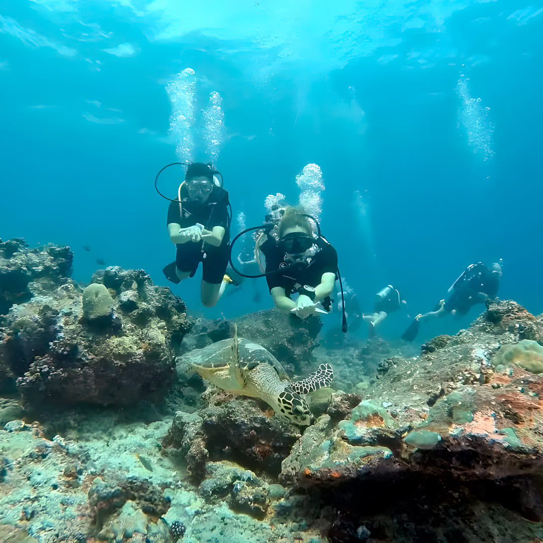 Thulusdhoo Maldives Scuba Diving Fun Dive