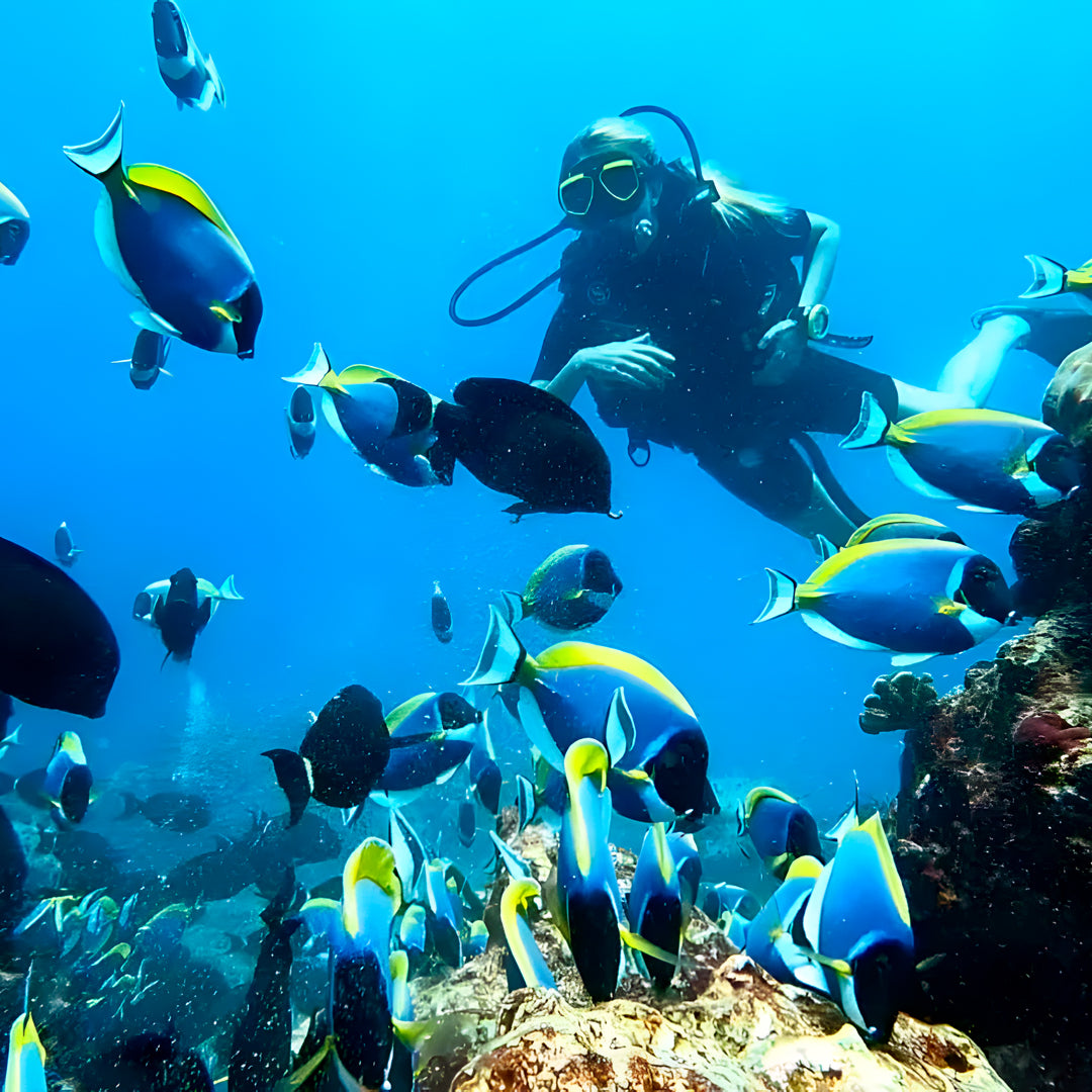 Thulusdhoo Maldives Scuba Diving Fun Dive
