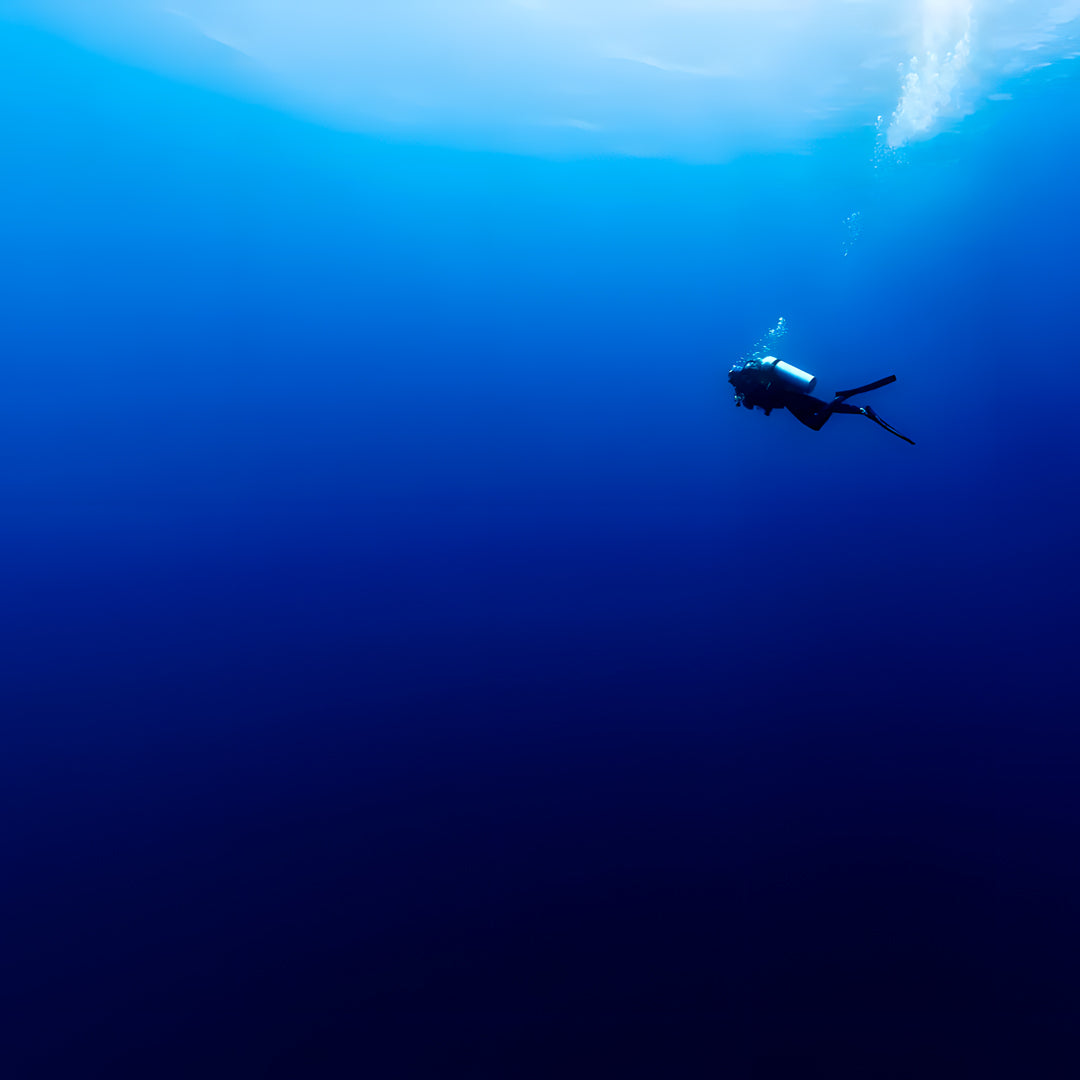 Thulusdhoo Maldives Scuba Diving Fun Dive