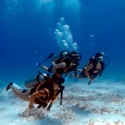 Cancun Scuba Diving Refresher Program