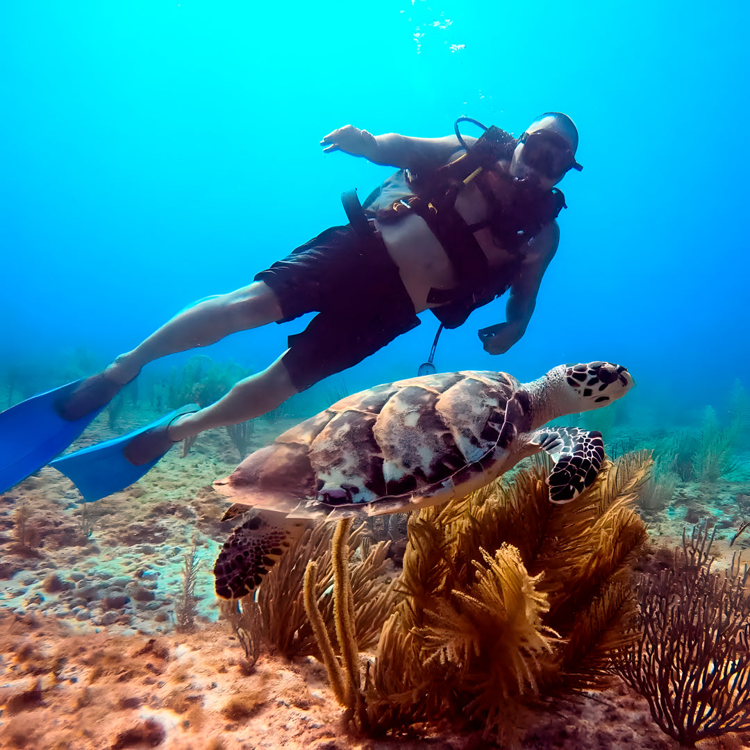 Discover Scuba Diving in Cancun