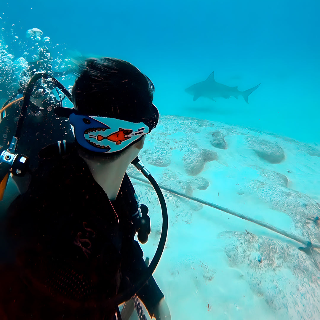 Discover Scuba Diving in Cancun
