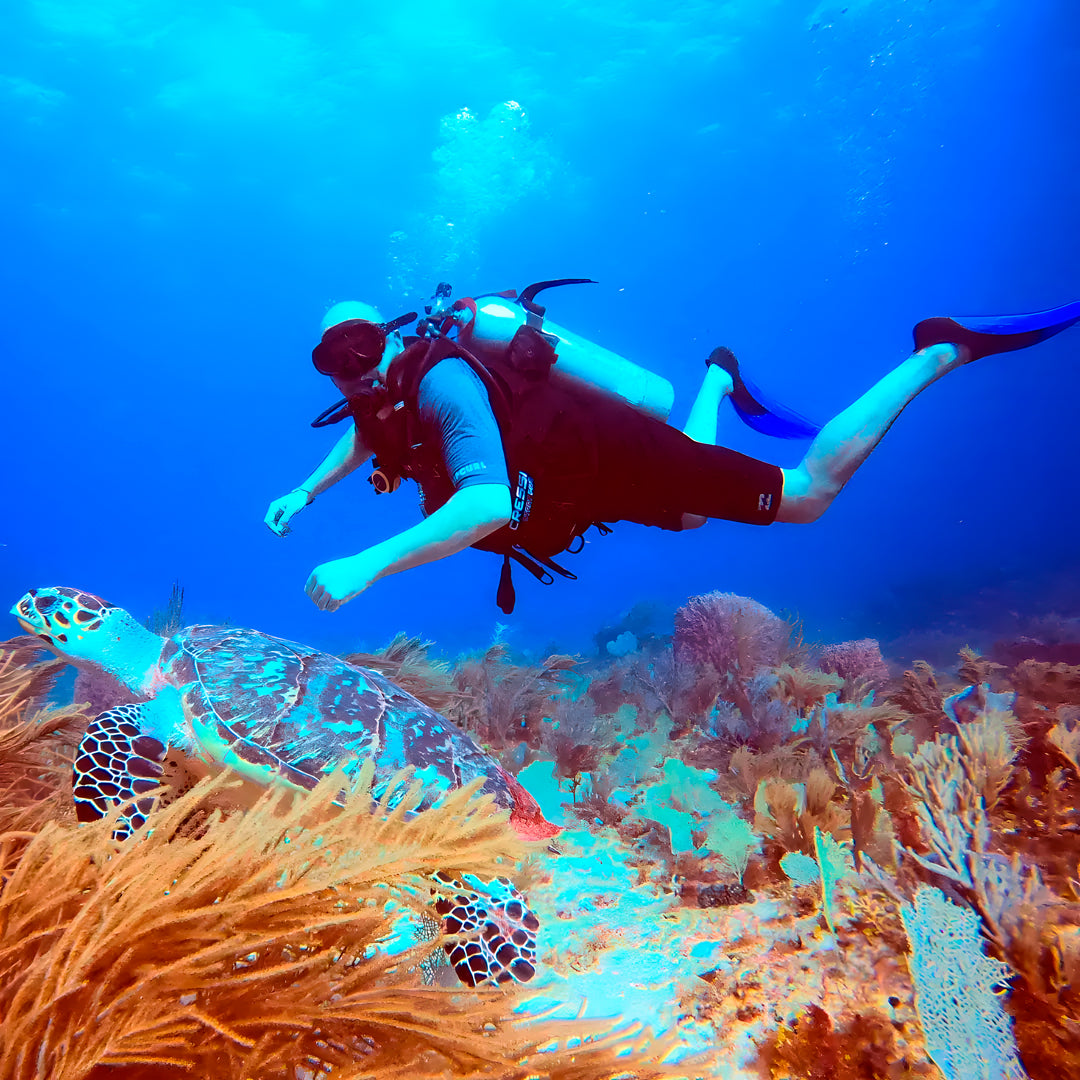 Discover Scuba Diving in Cancun