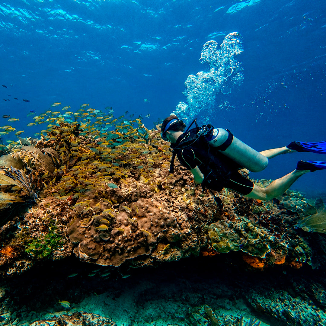 Rescue Diver Course in Cancun