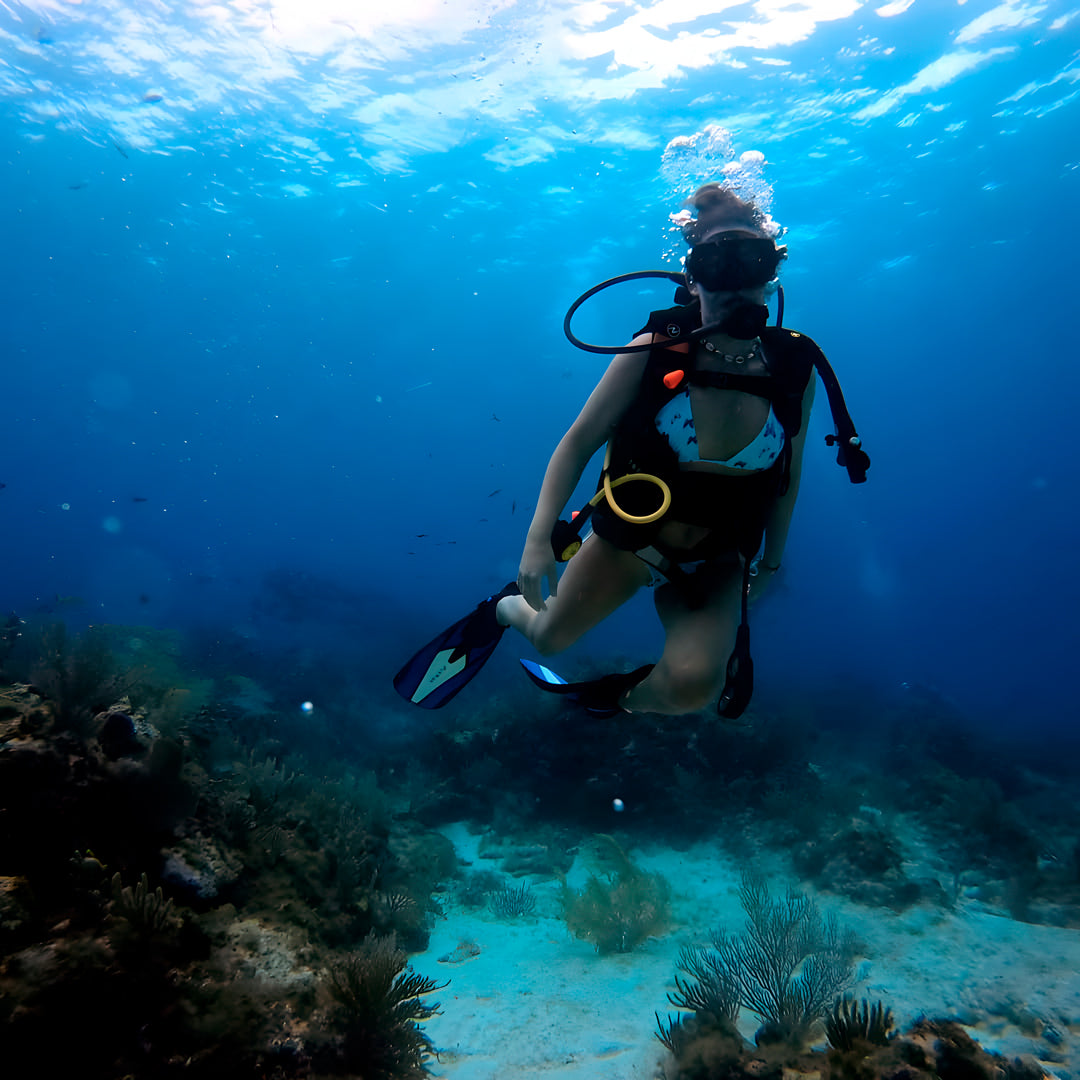 Rescue Diver Course in Cancun