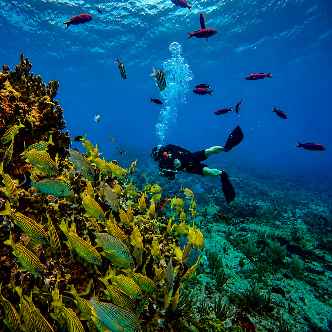 Cancun Scuba Diving Refresher Program
