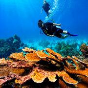 Cancun Scuba Diving Divemaster Course