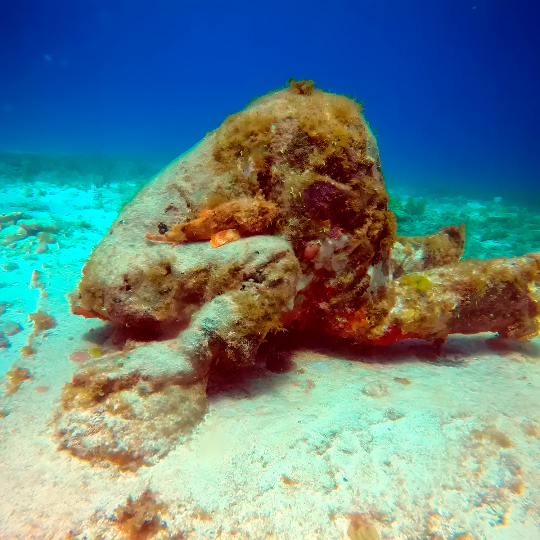 PADI/SDI Advanced Adventure Diver Course in Cancun