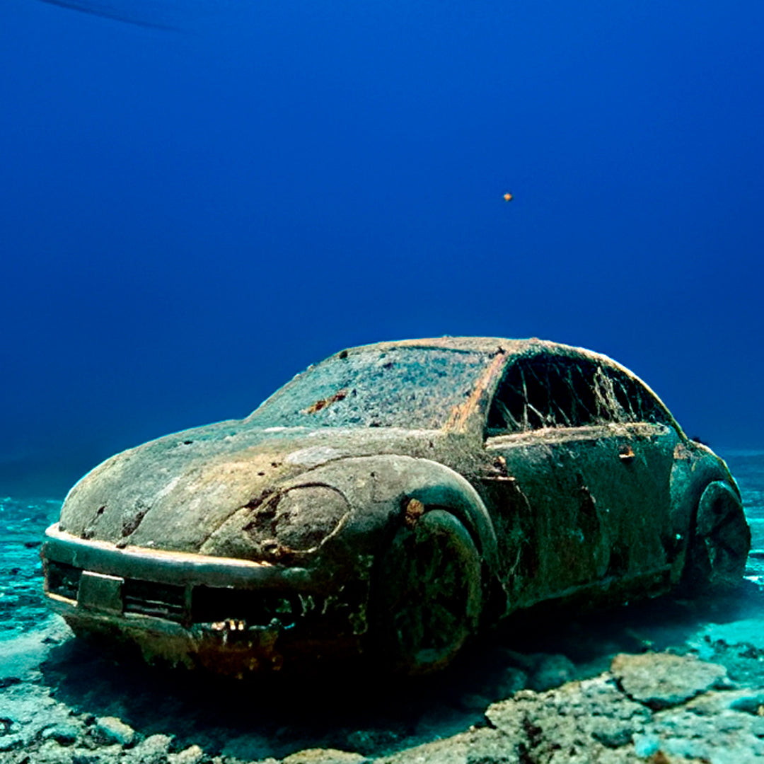 Discover Scuba Diving in Cancun