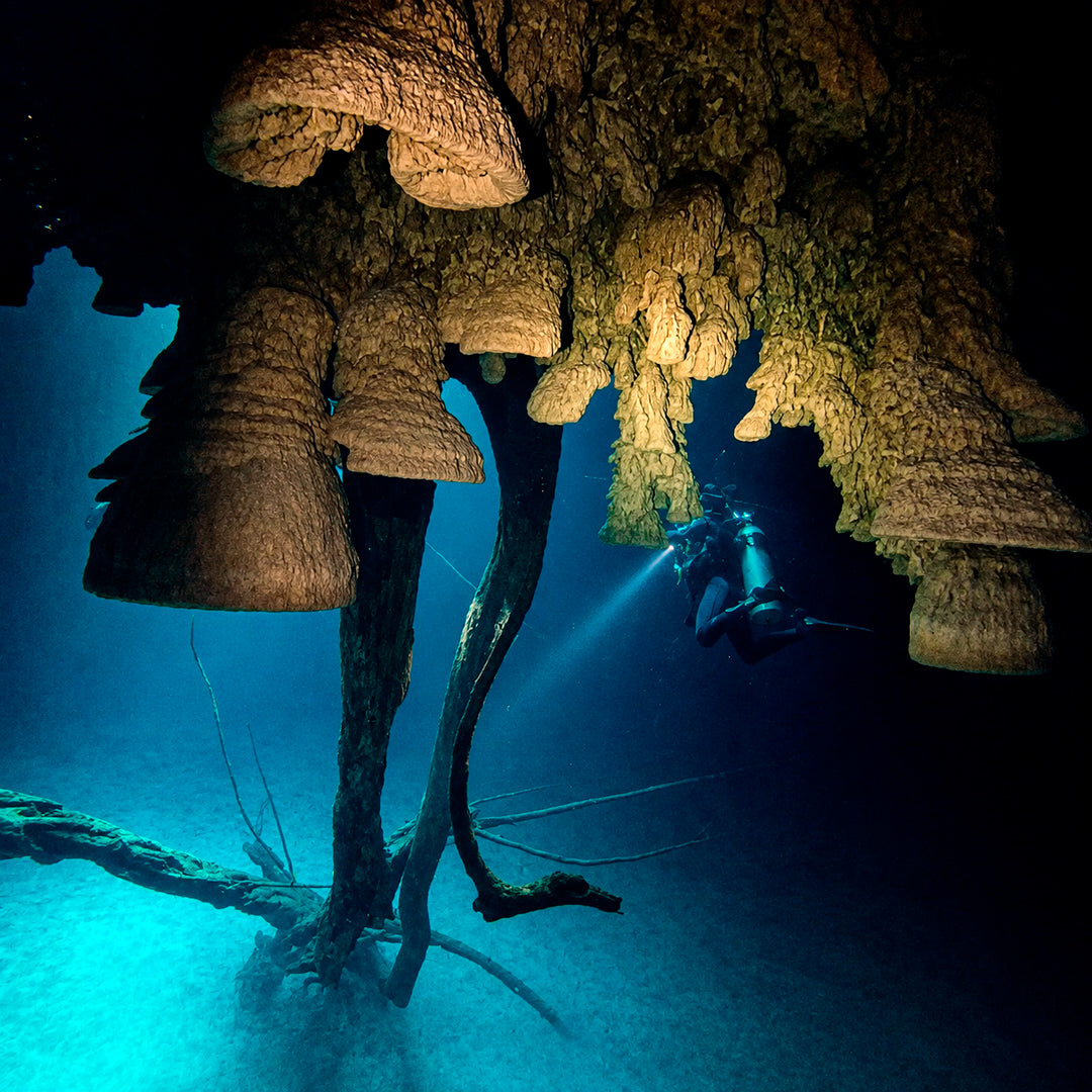 Discover Scuba Diving in Cancun