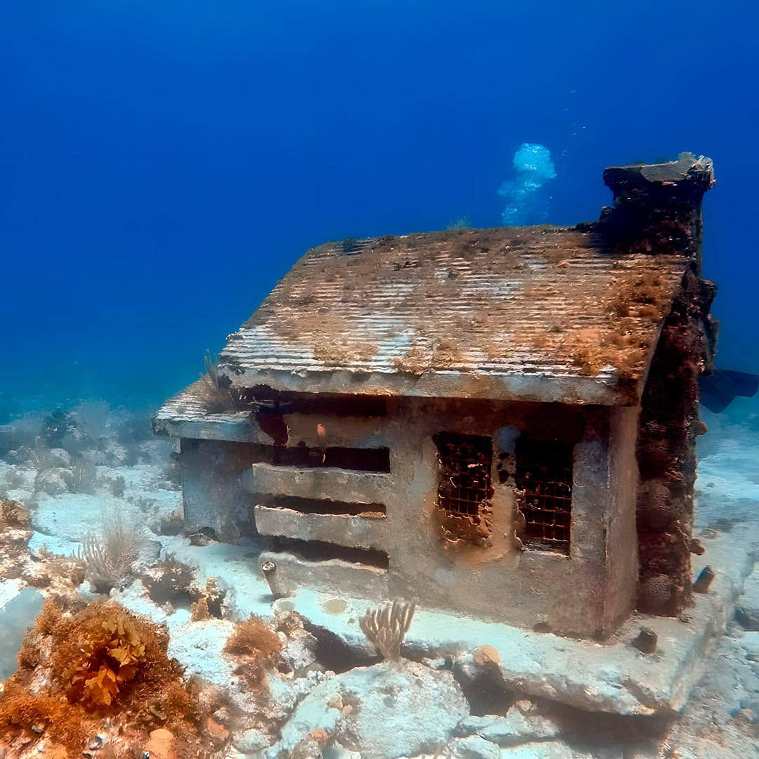 Discover Scuba Diving in Cancun