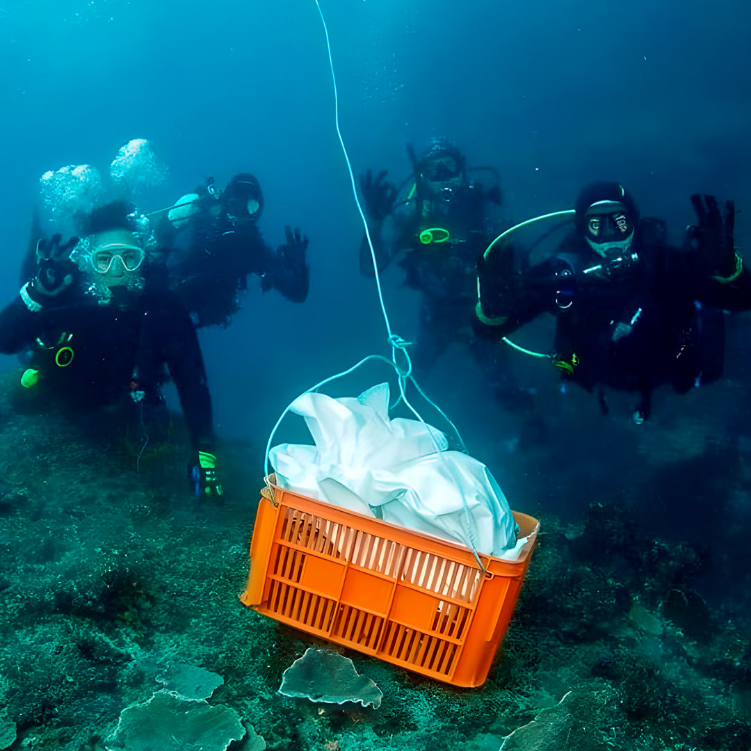 Shark Bay PADI Rescue Diver Course