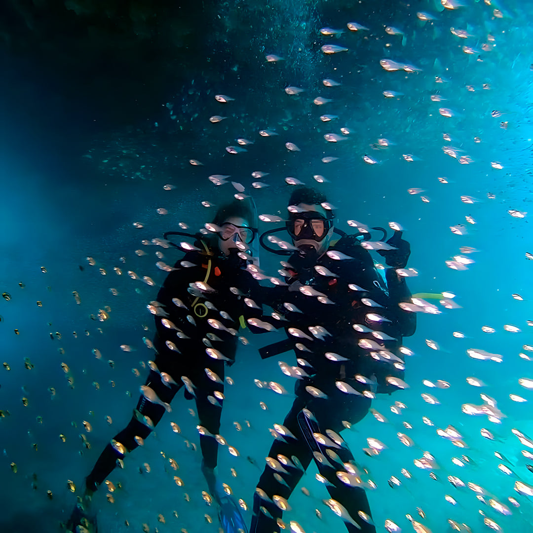 Shark Bay PADI Advanced Open Water Diver Course