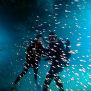 Shark Bay PADI Advanced Open Water Diver Course