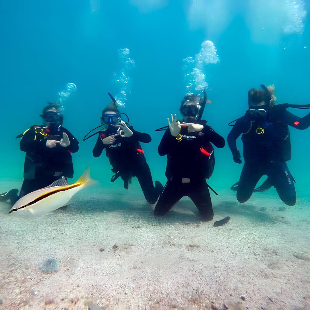 Shark Bay PADI Advanced Open Water Diver Course