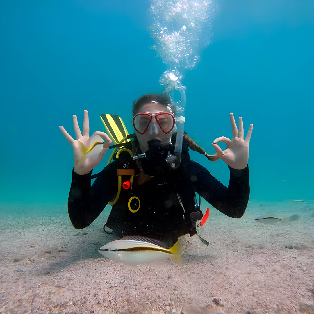 Shark Bay Scuba Diving Fun Dive