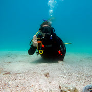 Shark Lagoon Scuba Diving Fun Dive