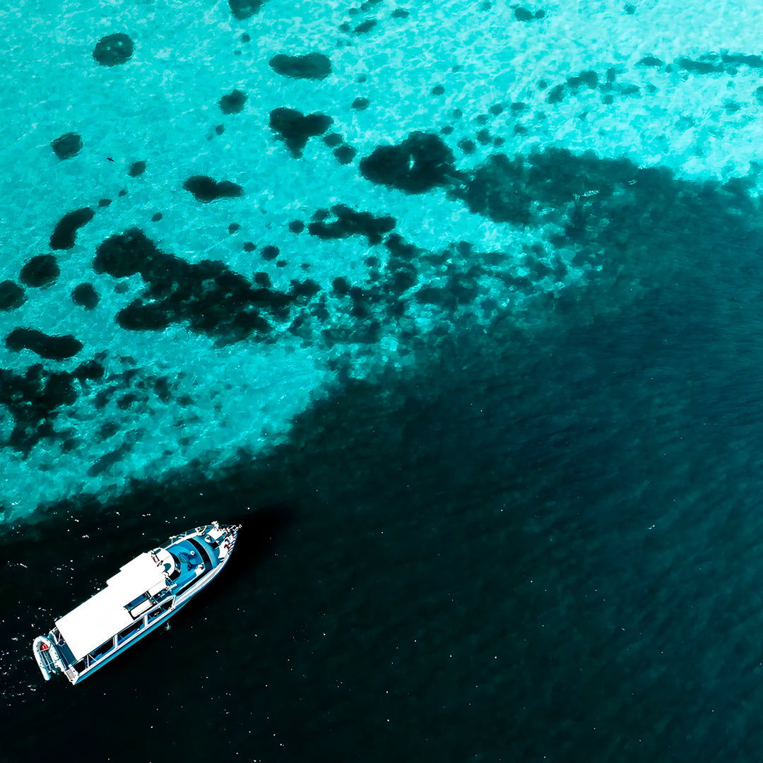 Steep Point Marine Safari Activity