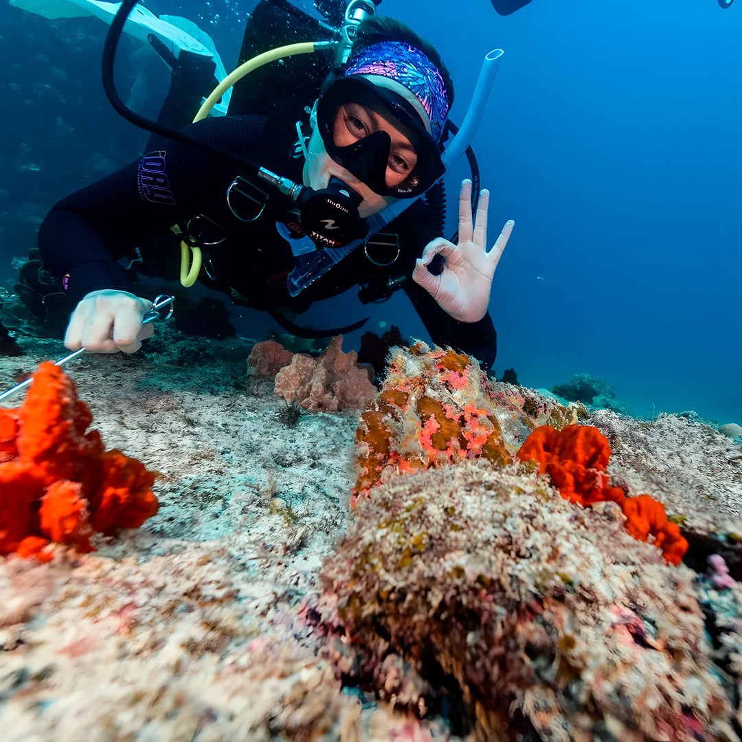 Shark Bay PADI Advanced Open Water Diver Course