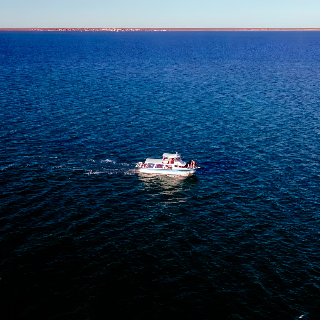 Shark Bay Scuba Diving Fun Dive