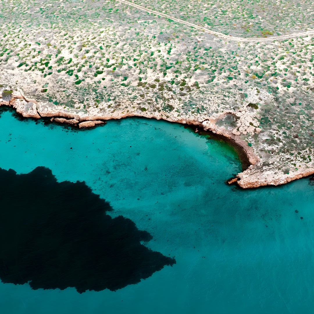 Shark Bay Scuba Diving Fun Dive
