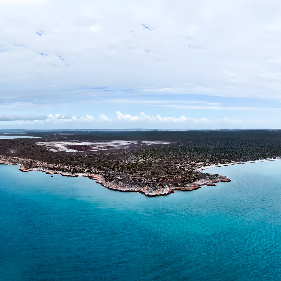 Shark Bay Scuba Diving Fun Dive