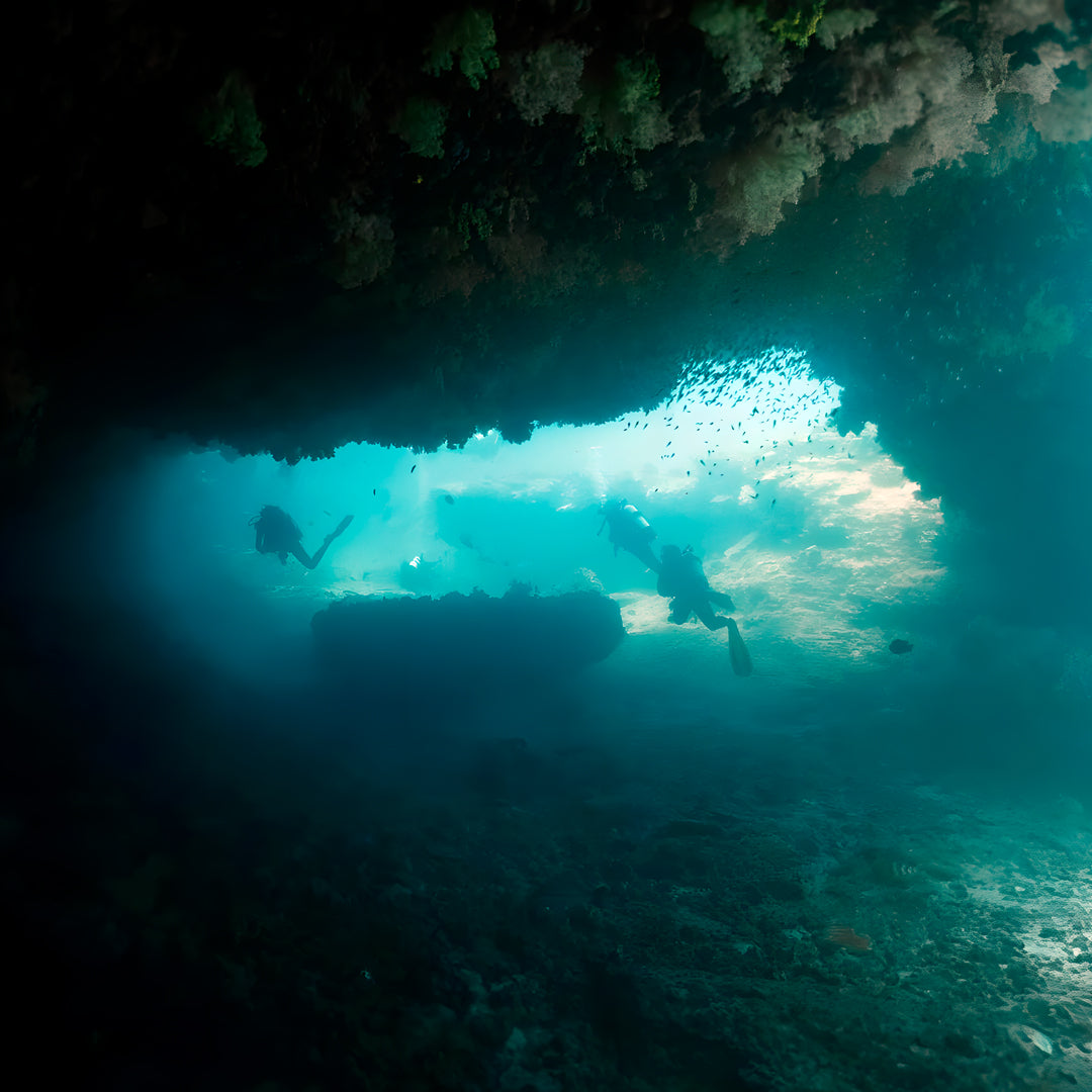 Shark Bay PADI Rescue Diver Course