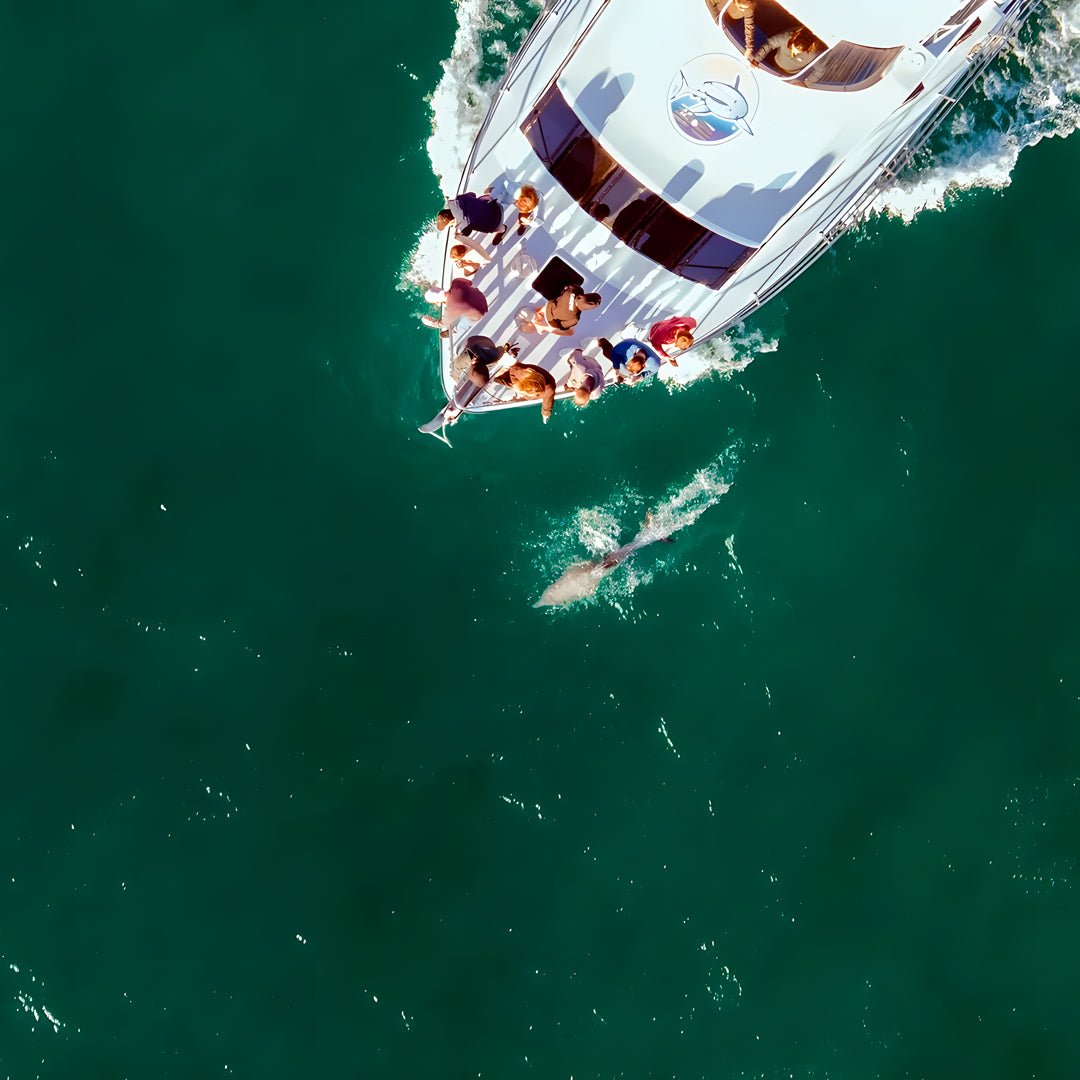 Shark Bay Scuba Diving Fun Dive