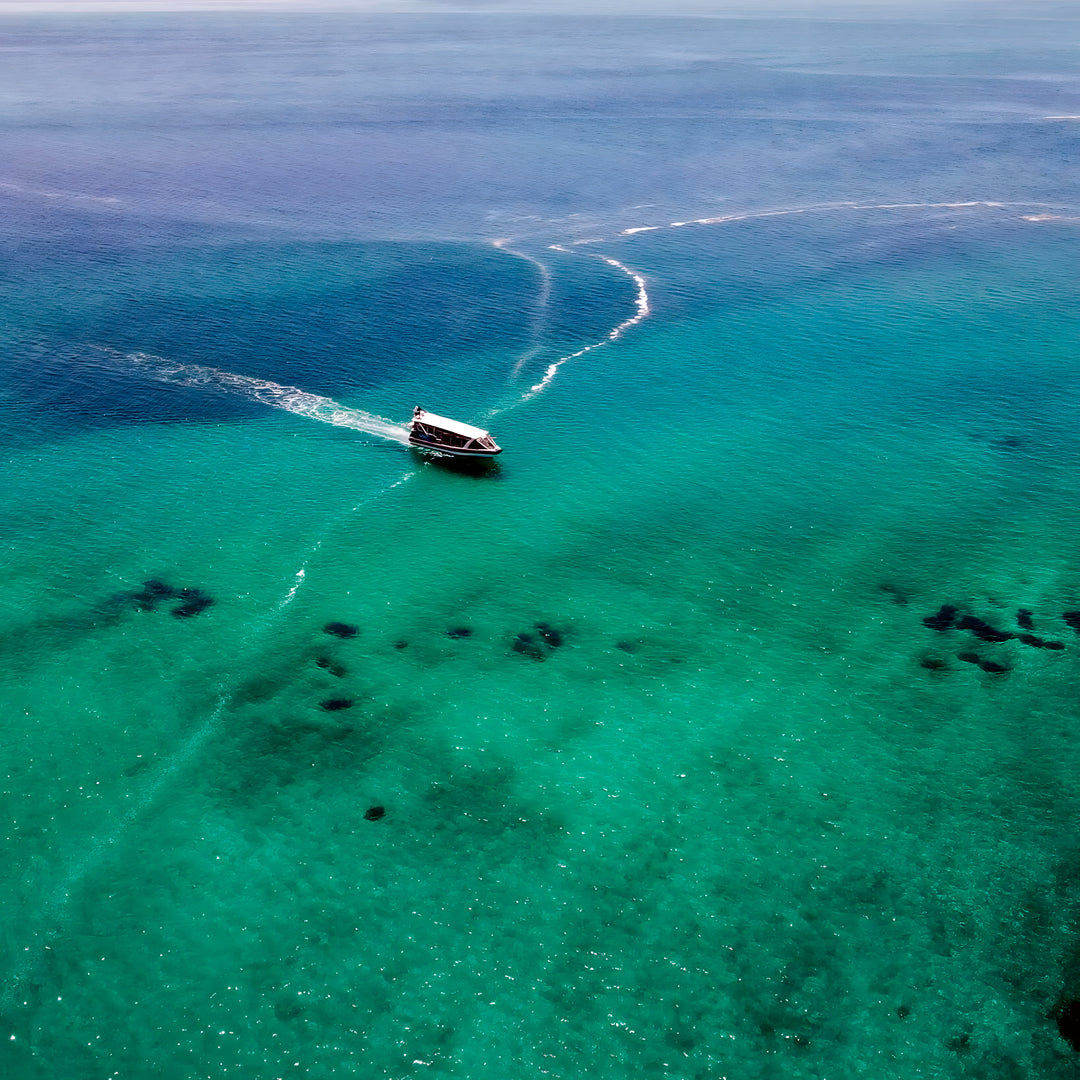 Shark Bay Scuba Diving Fun Dive