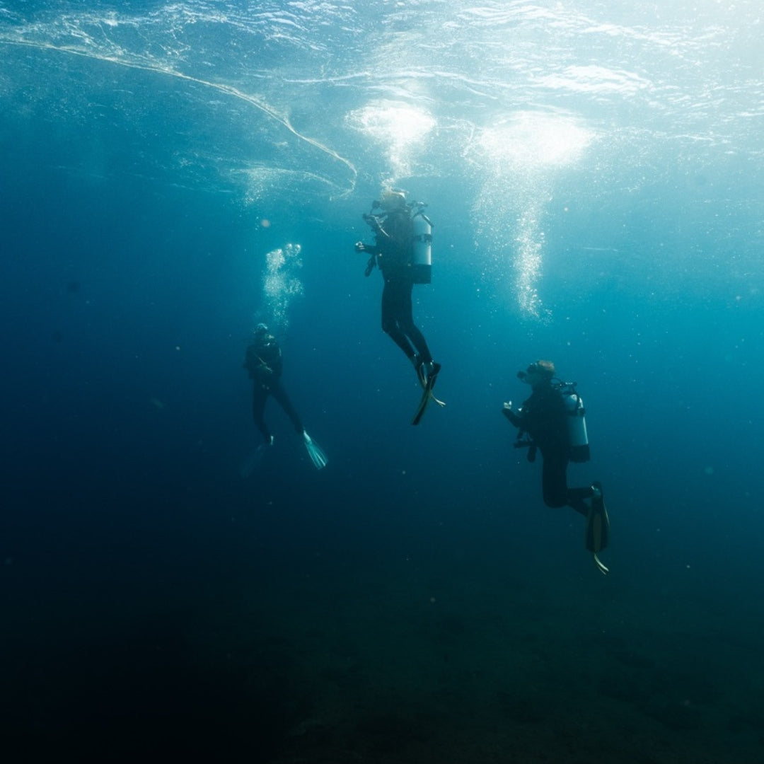 Shark Bay PADI Rescue Diver Course