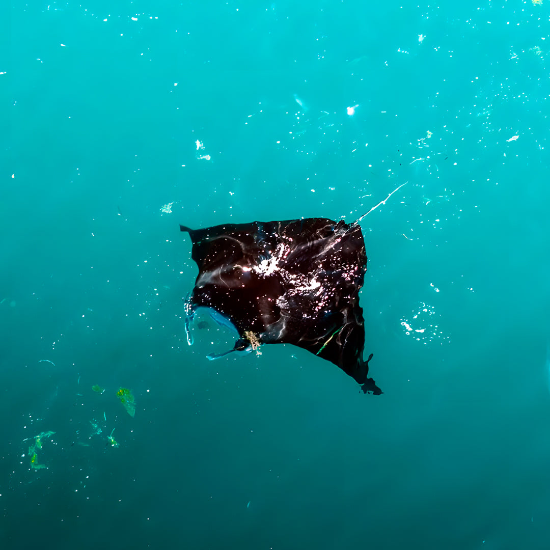Shark Bay PADI Rescue Diver Course