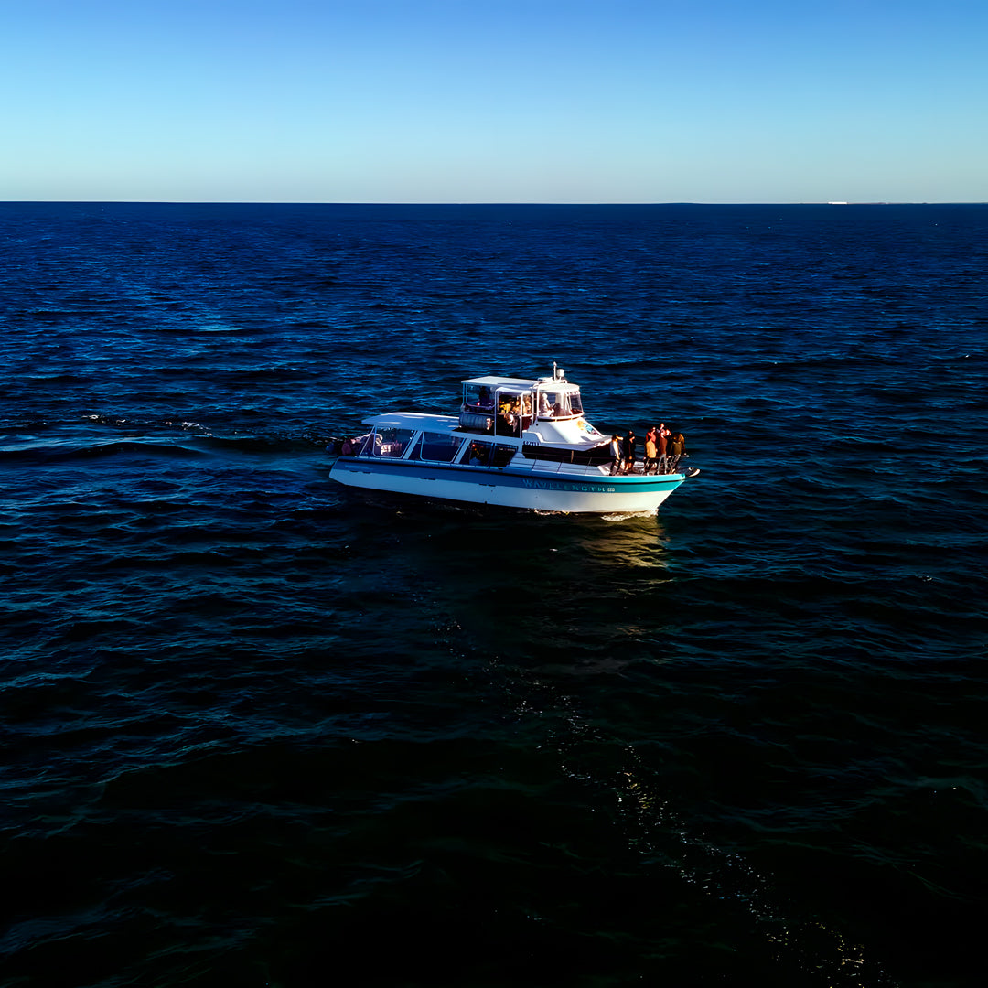 Shark Bay PADI Rescue Diver Course