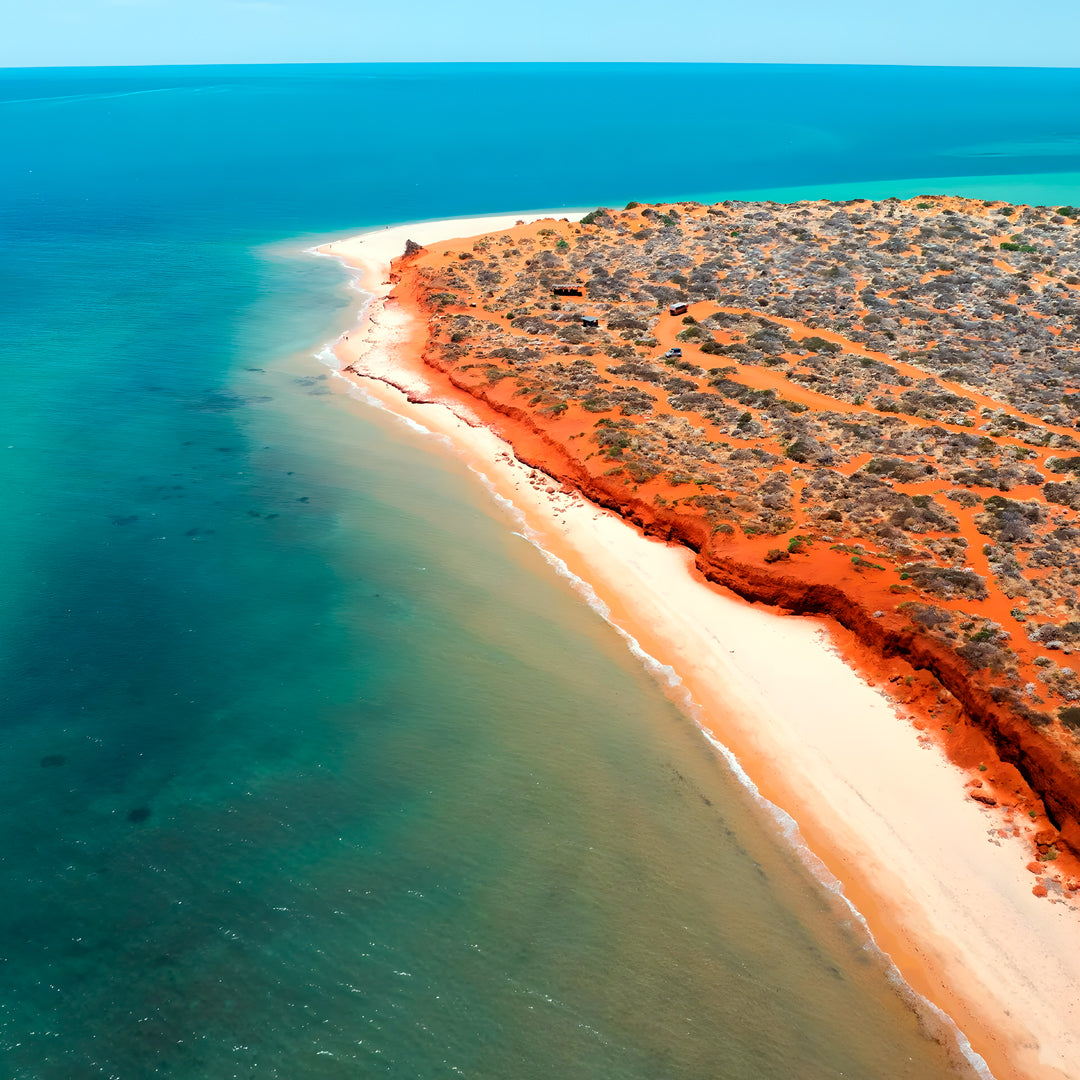 Shark Bay PADI Rescue Diver Course